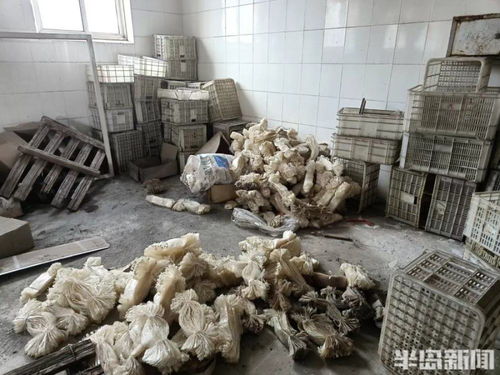 半島調(diào)查丨天花板坍塌 車間成廢墟 響當(dāng)當(dāng)?shù)睦献痔柧棺兂闪诉@樣 它還能再 香 嗎